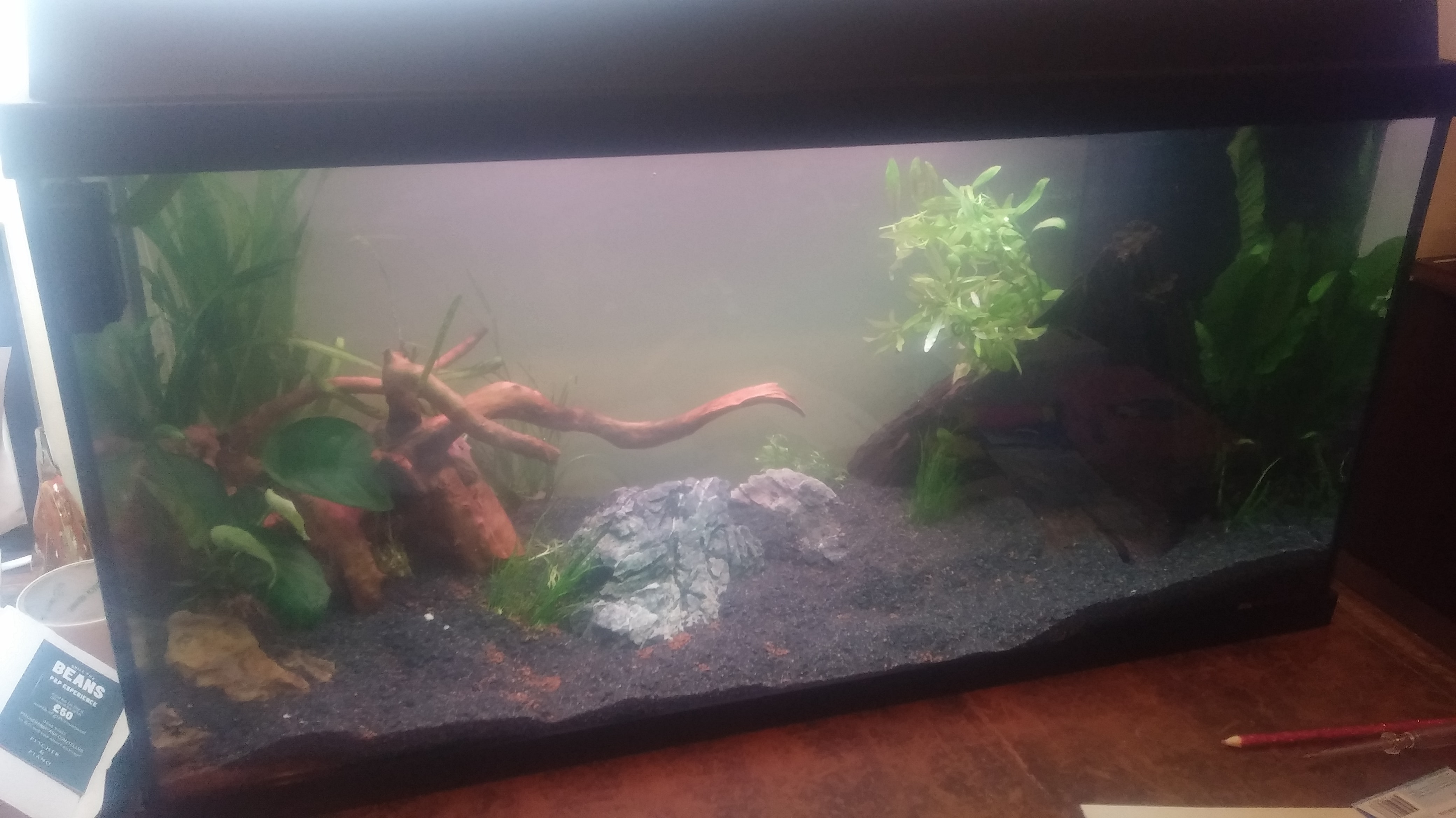 Richard Mayers - Aquarium