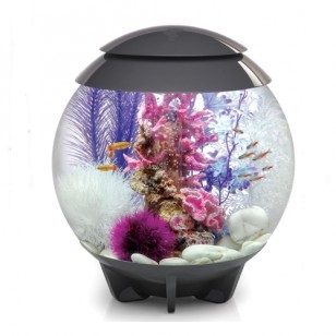 Guide to BiOrb Aquariums and Fish Tanks