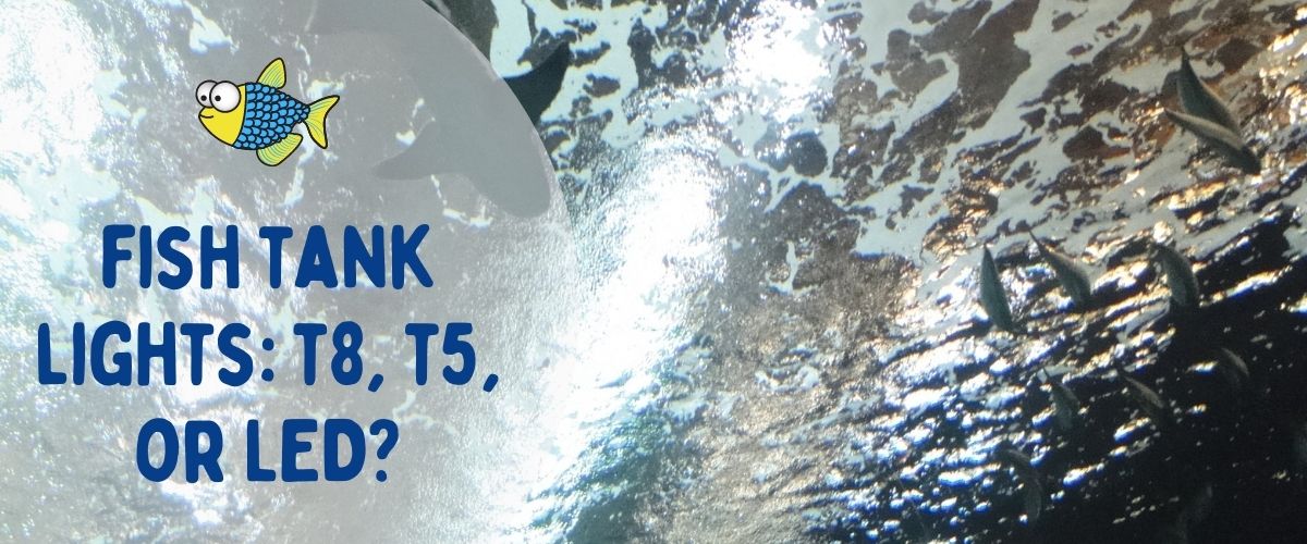 Fish tank lights | T8 T5 or LED | Warehouse Aquatics | Middlewich