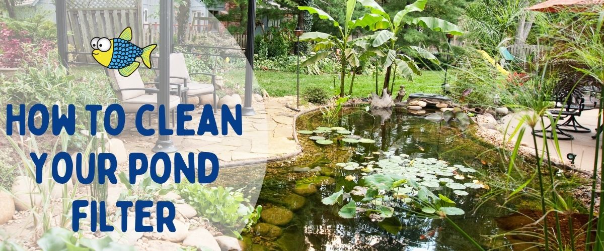 How to clean your pond filter | Warehouse Aquatics | Middlewich