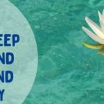 How to keep your pond clear and healthy | Warehouse Aquatics | Middlewich