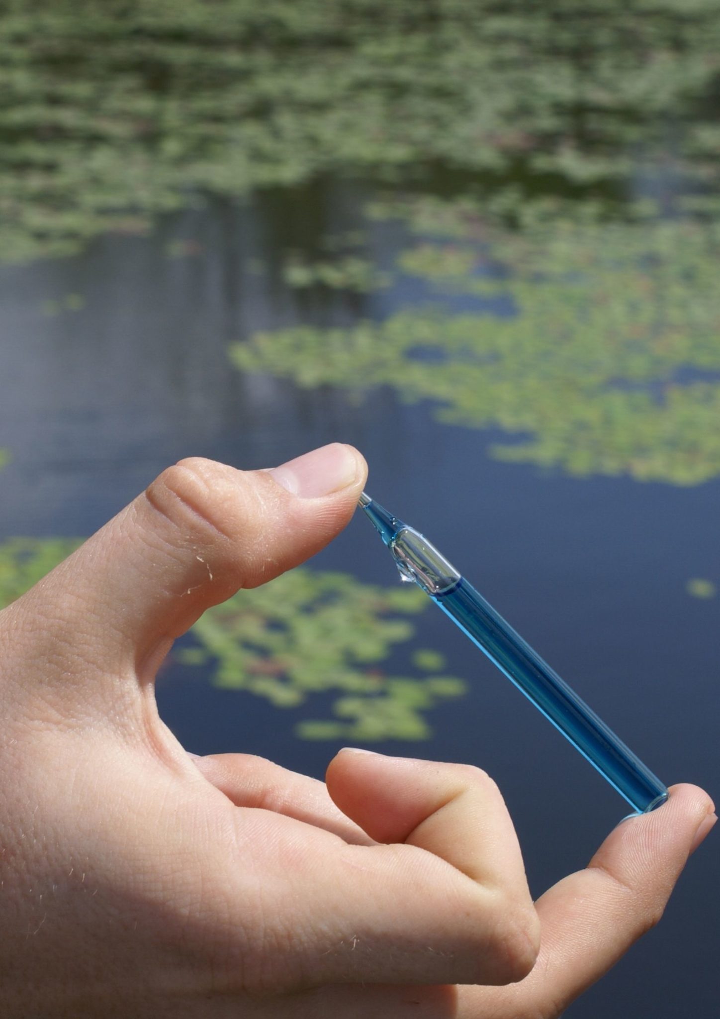 How to keep your pond clear and healthy Warehouse Aquatics