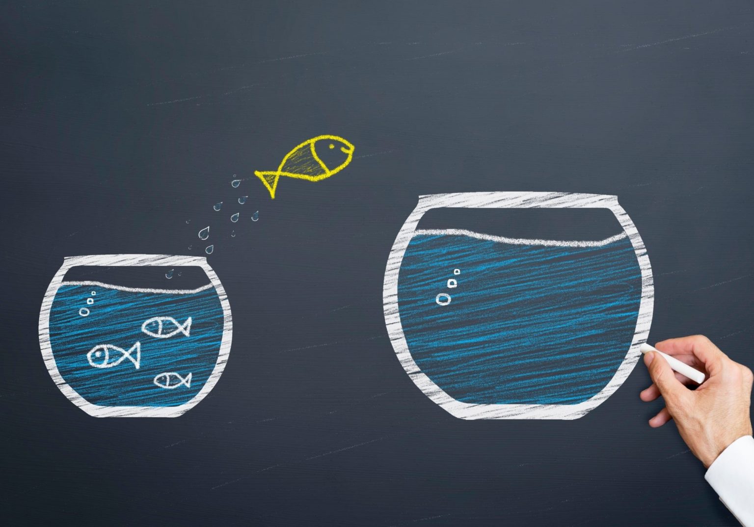 What size fish tank do you need? Warehouse Aquatics