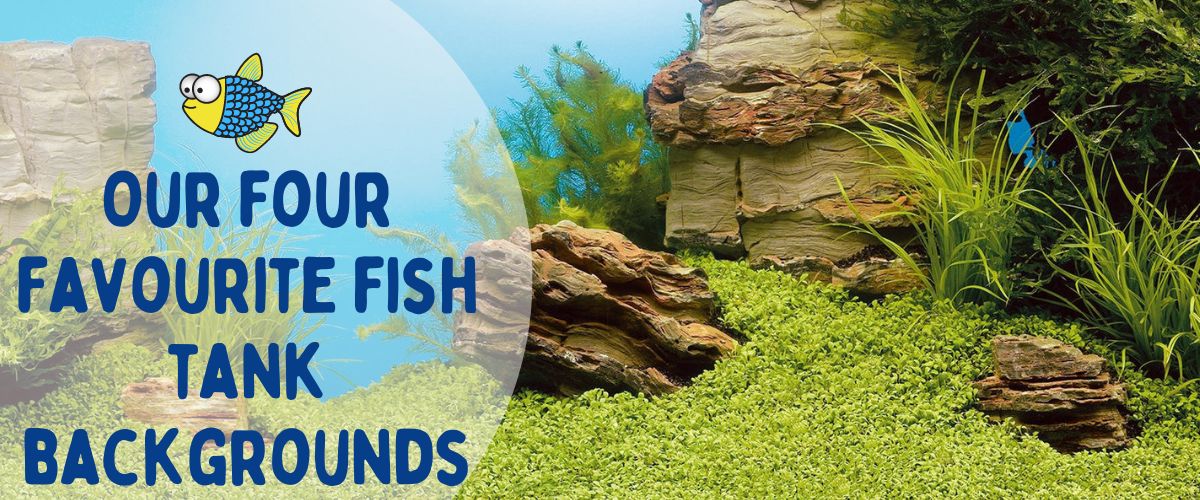 Our four favourite fish tank backgrounds | Warehouse Aquatics