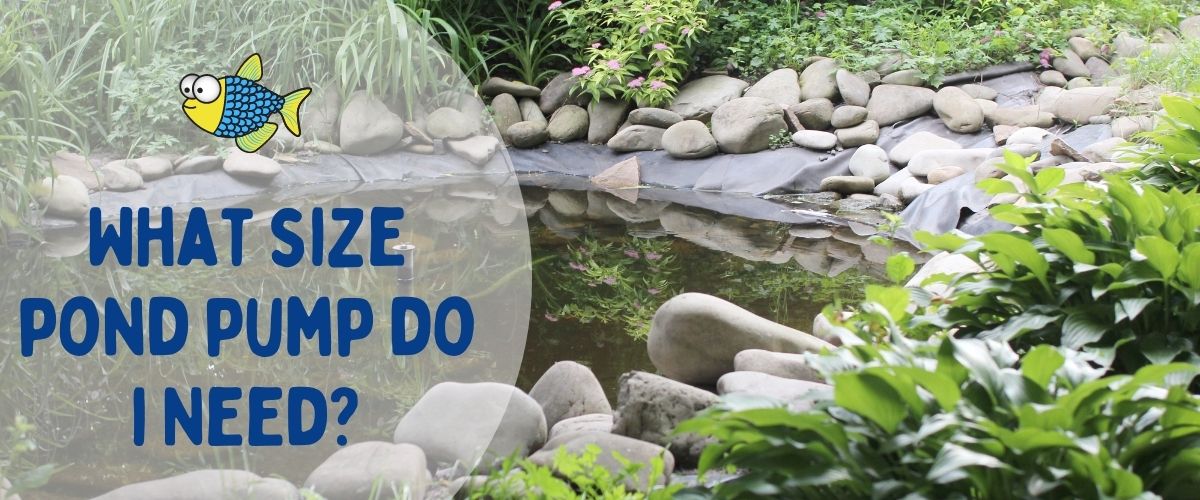 What size pond pump do I need? | Warehouse Aquatics | Middlewich