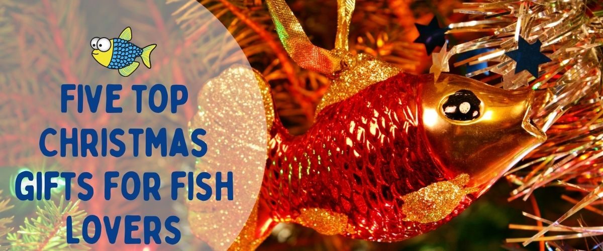 Five top Christmas gifts for fish lovers