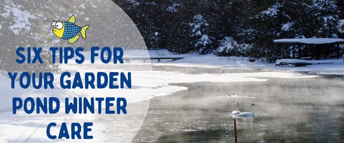 Six tips for your garden pond winter care | Warehouse Aquatics | Middlewich