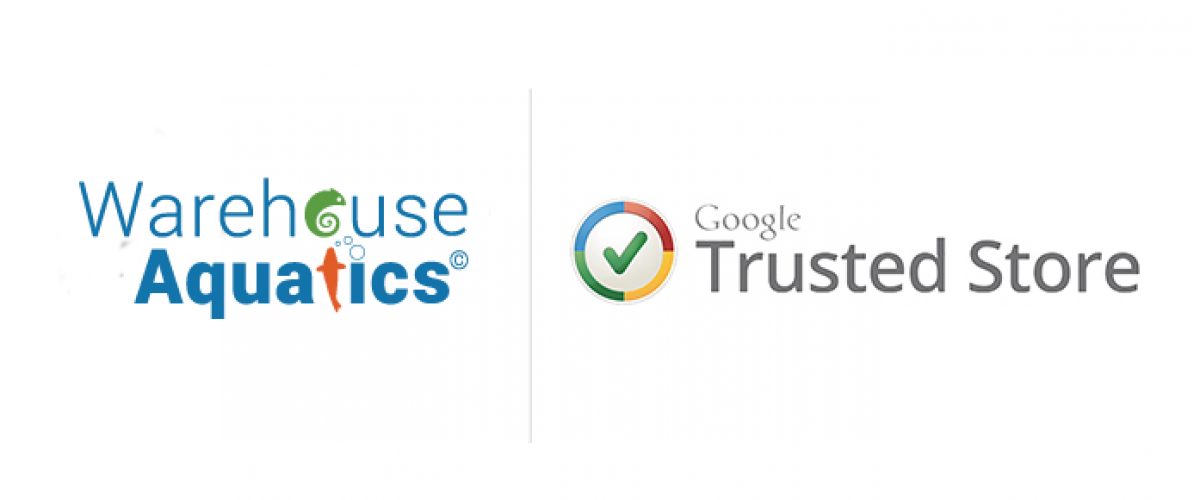 google-trusted-store1